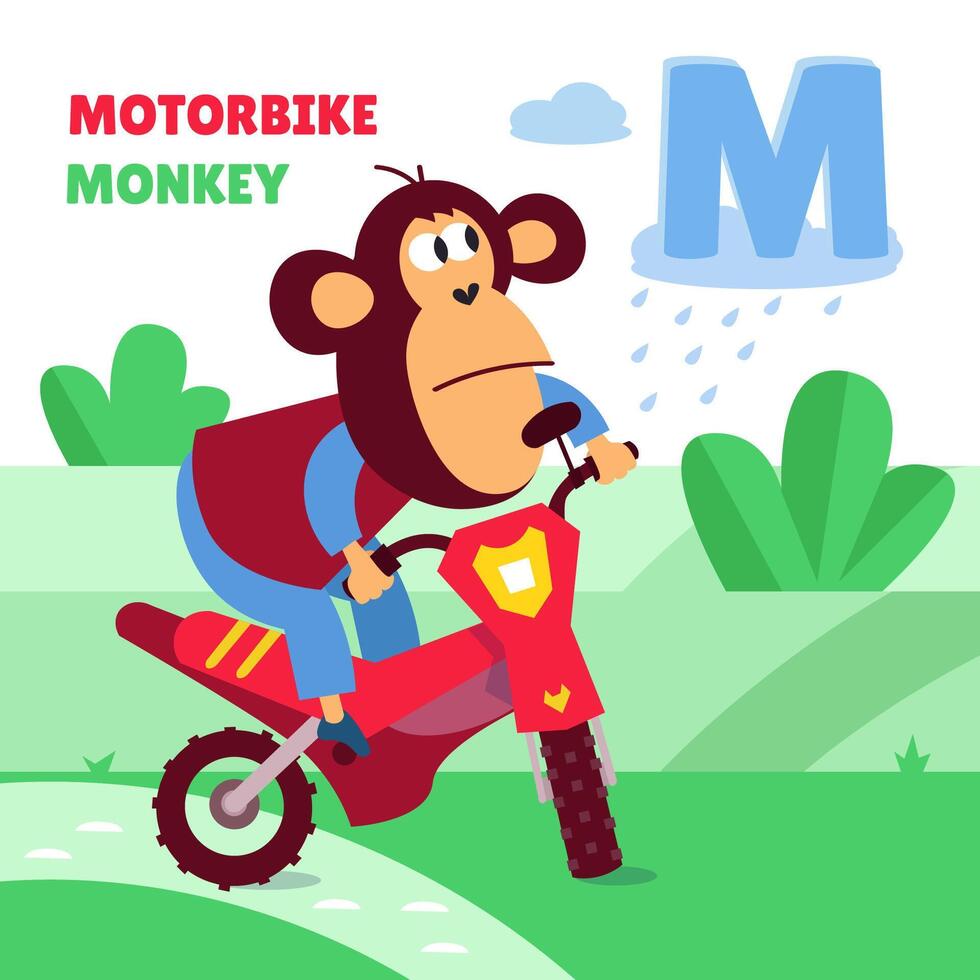 schattig aap Aan motor. vervoer en dieren. brief m. alfabet, kaart met tekenfilm stijl karakters. abc. onderwijs voor kinderen. peuter- werkzaamheid. illustratie. vector