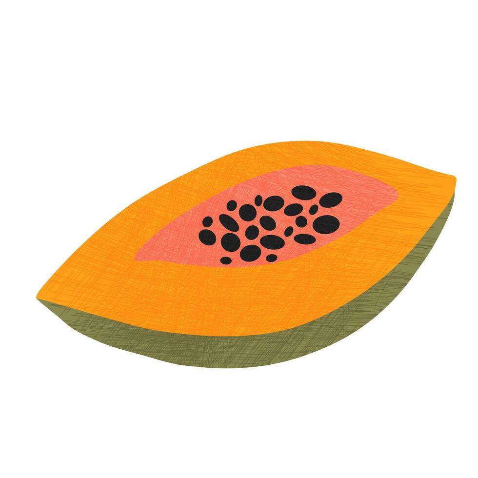 hand getekend kleurrijk papaja met krijt textuur. clip art illustratie. vector
