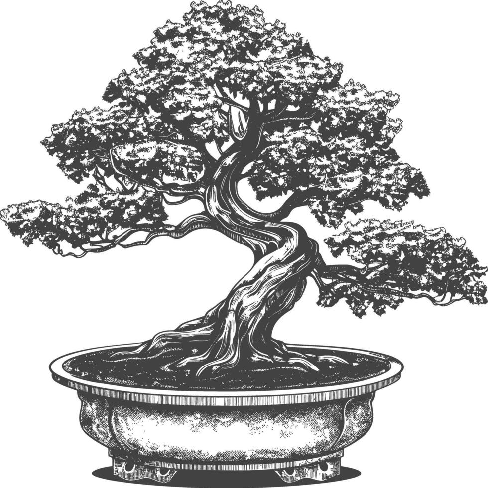 bonsai boom afbeeldingen gebruik makend van oud gravure stijl lichaam zwart kleur enkel en alleen vector