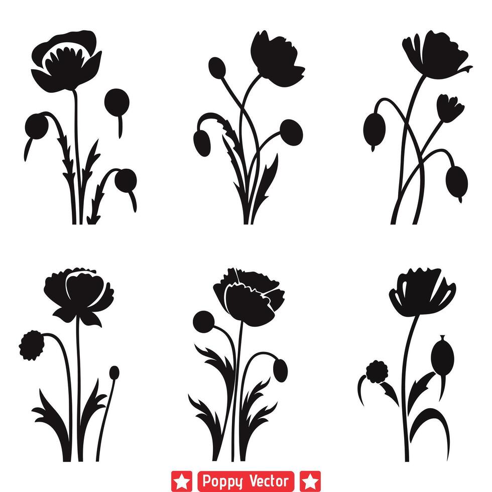 glorieus papaver silhouet kaders artistiek decor verzameling vector