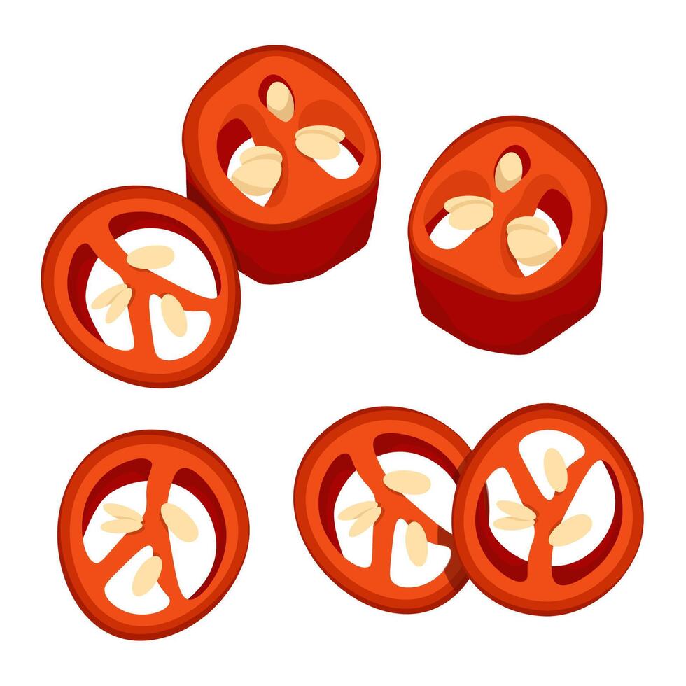 reeks van verschillend plakjes van Mexicaans rood Chili paprika's met granen vector