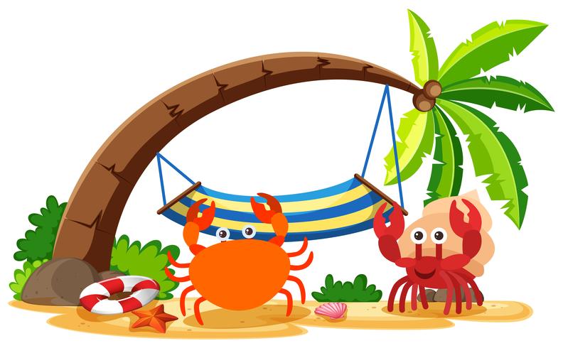 Krab en heremietkreeften op het strand vector