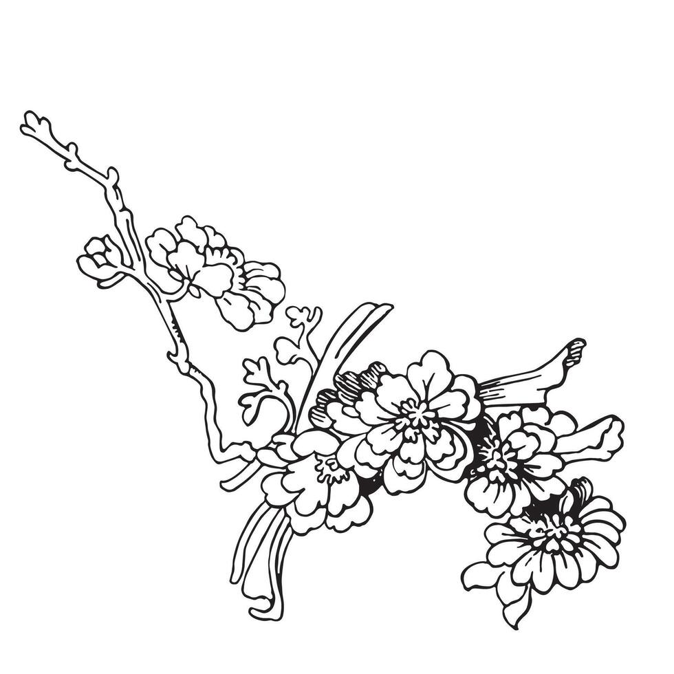 feestelijk sakura geïsoleerd Aan wit achtergrond. oosters traditioneel, schets illustratie. Japans, Chinese, Koreaans modieus ontwerp, viering evenement groet kaart partij uitnodiging poster folder vector