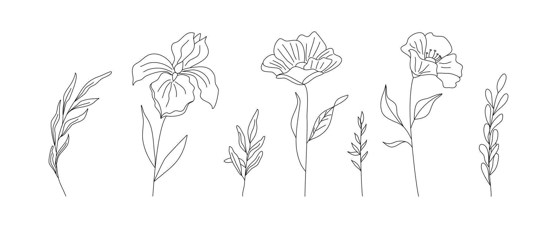 hand- getrokken wild veld- flora, bloemen, bladeren, kruiden, planten, takken. minimaal bloemen botanisch lijn kunst. illustratie voor logo of tatoeëren, uitnodigingen, opslaan de datum kaart vector