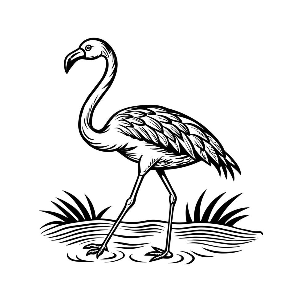 zwart flamingo geïsoleerd Aan wit achtergrond vector