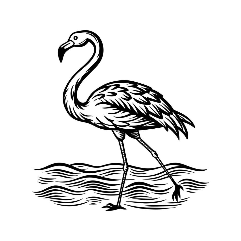 zwart flamingo geïsoleerd Aan wit achtergrond vector