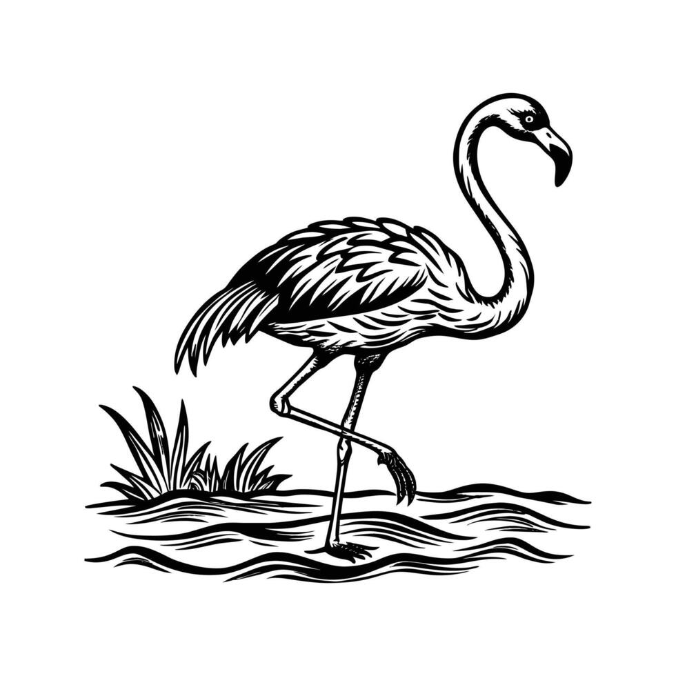 zwart flamingo geïsoleerd Aan wit achtergrond vector