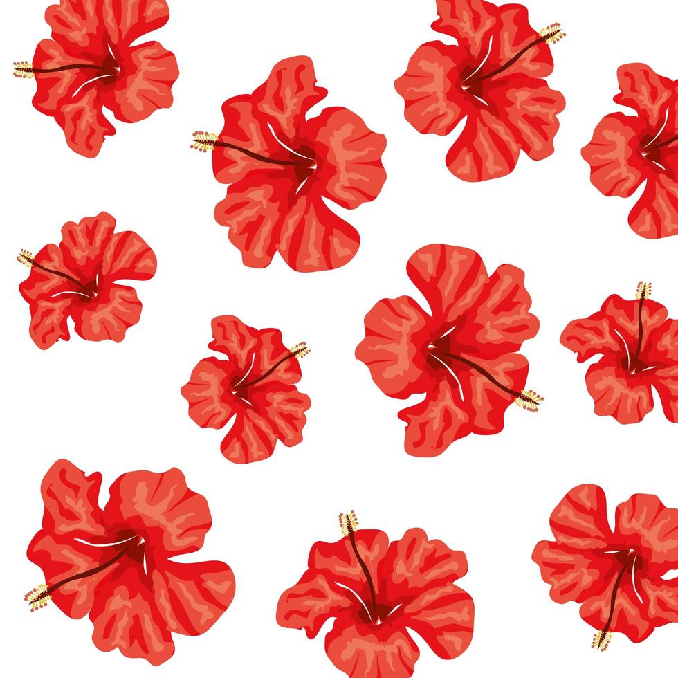 achtergrond van schattige bloemen van rode kleur vector
