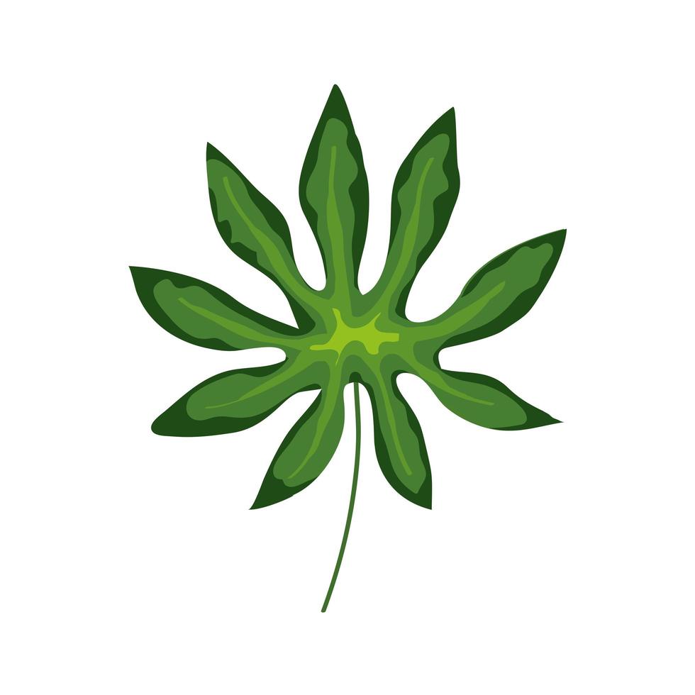 blad natuur tropische geïsoleerde icon vector