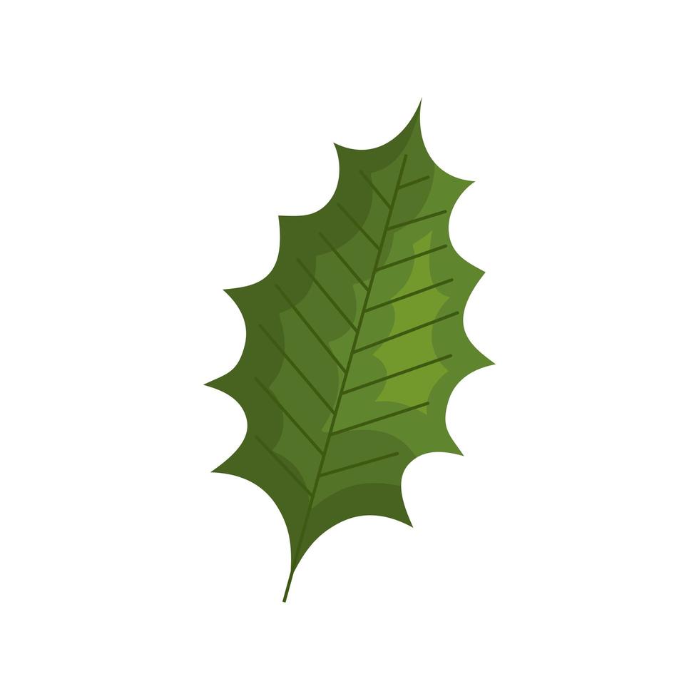 blad natuur ecologie geïsoleerde icon vector