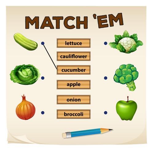 Matching game met verse groenten vector