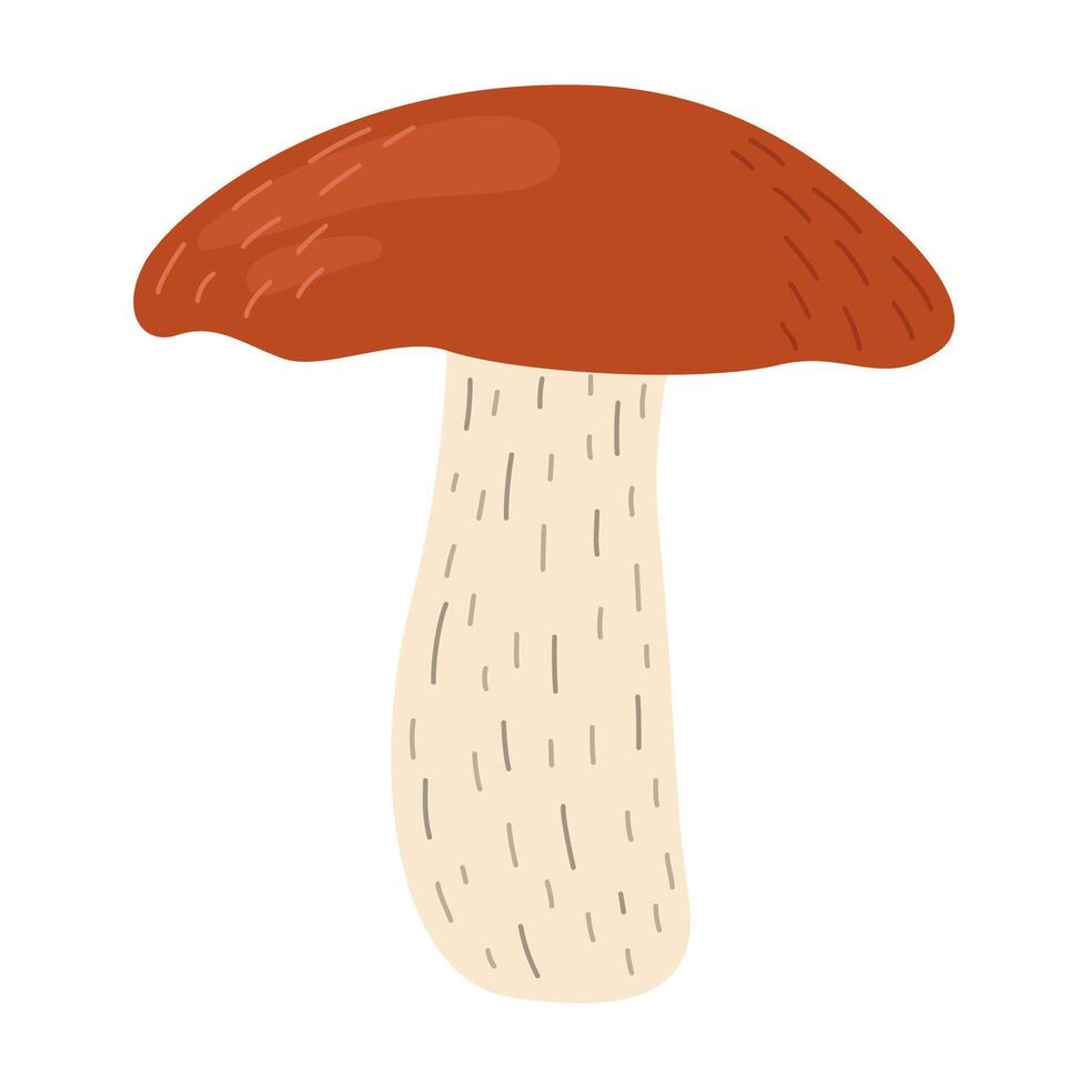 oranje berk boleet paddestoel. leccinum schimmels. eetbaar Woud champignons. vegetarisch schimmels bruin pet boleet. botanisch vlak illustratie geïsoleerd Aan wit achtergrond. vector