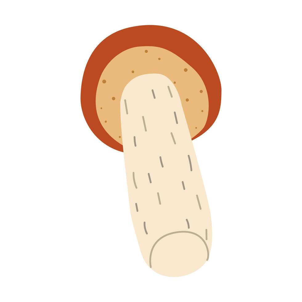 oranje berk boleet paddestoel. leccinum schimmels. eetbaar Woud champignons. vegetarisch schimmels bruin pet boleet. botanisch vlak illustratie geïsoleerd Aan wit achtergrond. vector