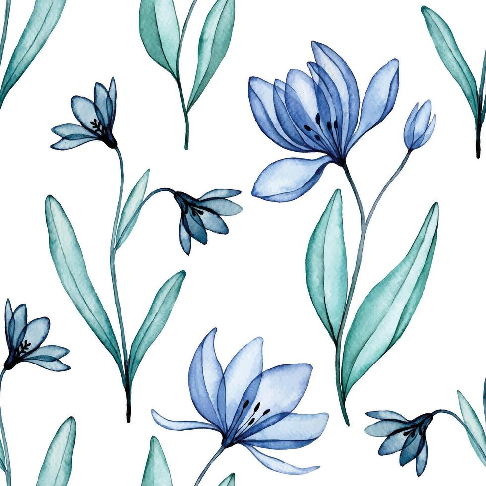 naadloos patroon van transparant bloemen, waterverf tekening. blauw wilde bloemen, röntgenstraal vector