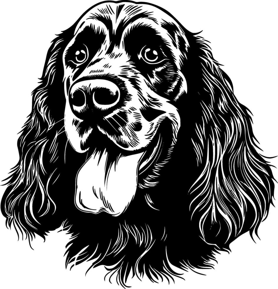 cocker spaniël, zwart en wit illustratie vector