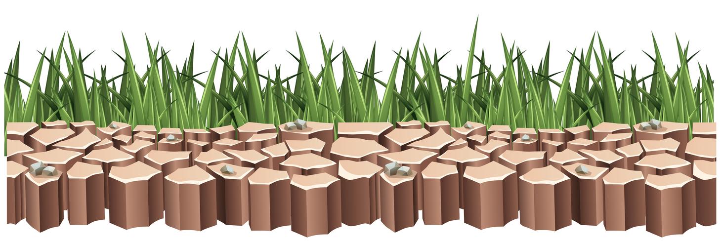 Droog land en groen gras vector