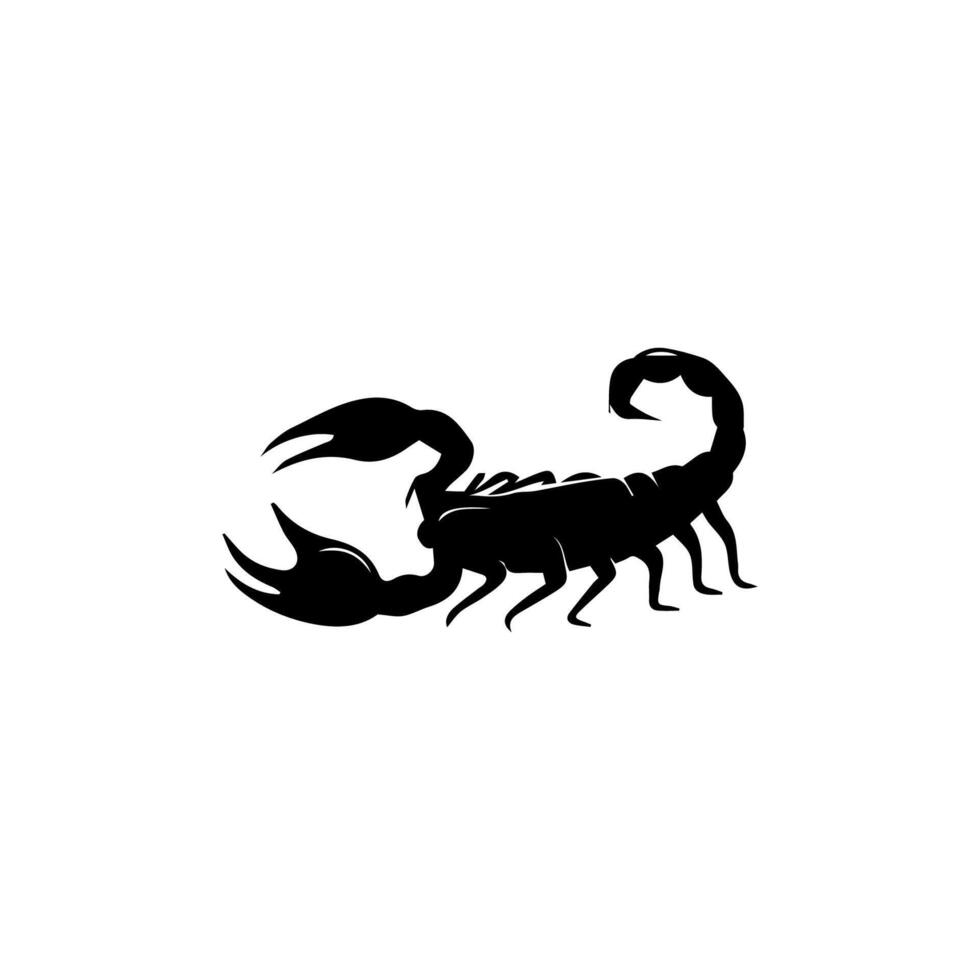 schorpioen of Schorpioen dier aanvallen geïsoleerd Aan een wit achtergrond. scorpius dierenriem symbool tatoeëren. zwart en wit hand- getrokken vector