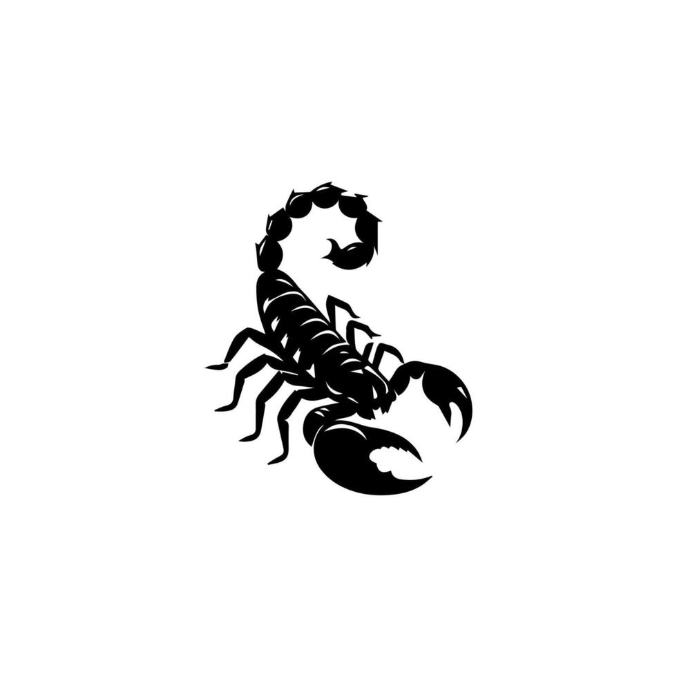 schorpioen of Schorpioen dier aanvallen geïsoleerd Aan een wit achtergrond. scorpius dierenriem symbool tatoeëren. zwart en wit hand- getrokken vector