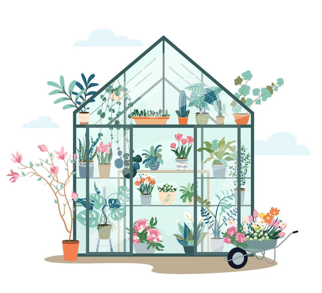 samenstelling met planten groeit in potten of plantenbakken binnen glas serre. vlak illustratie met schattig oranjerie of botanisch tuin. gekleurde concept van huis tuinieren vlak illustratie vector