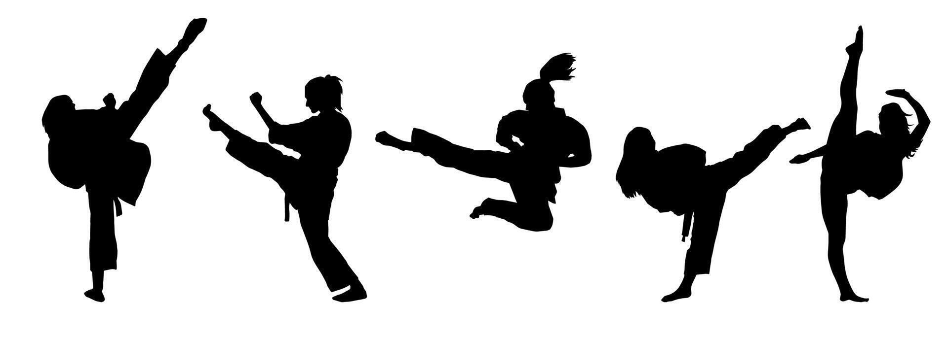 silhouet verzameling van krijgshaftig kunst Dames schoppen houding. silhouet van vrouw krijgers in actie houding. vector