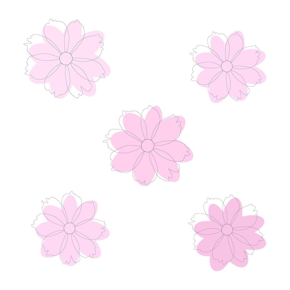 een reeks van vijf zacht roze kosmos bloemen. , wit achtergrond. vector