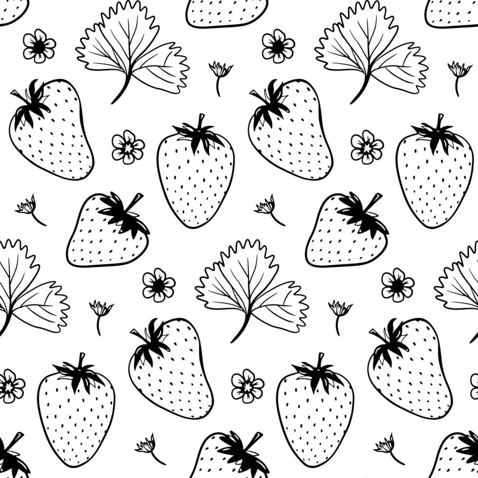 tekening aardbei naadloos patroon. zwart hand- getrokken abstract fruit met bladeren achtergrond. zomer BES tekening vector