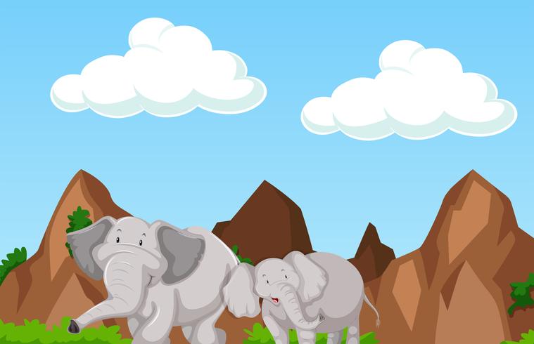 Scène met twee olifanten in de berg vector