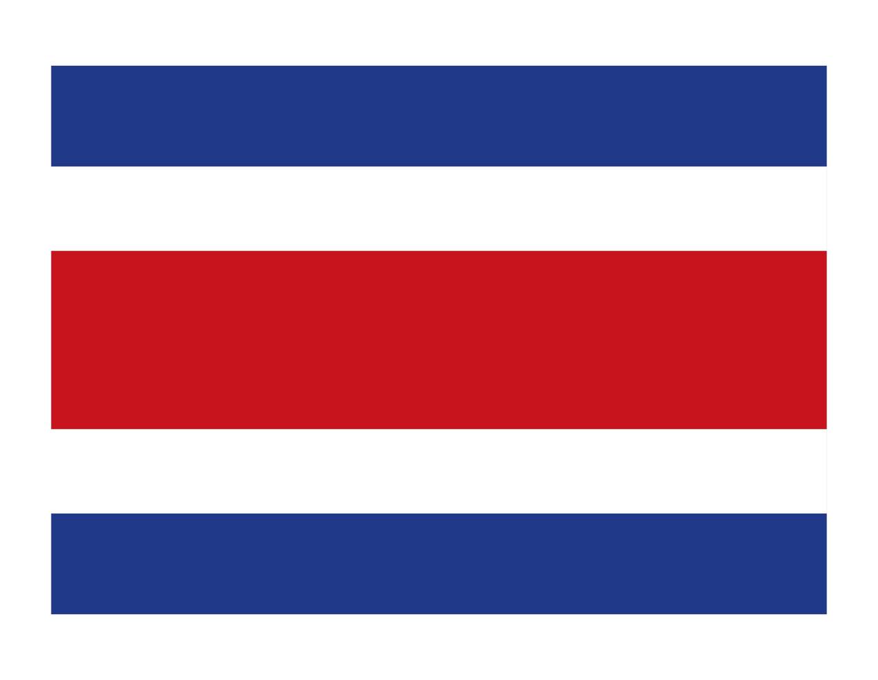 vlag van costa rica land vector