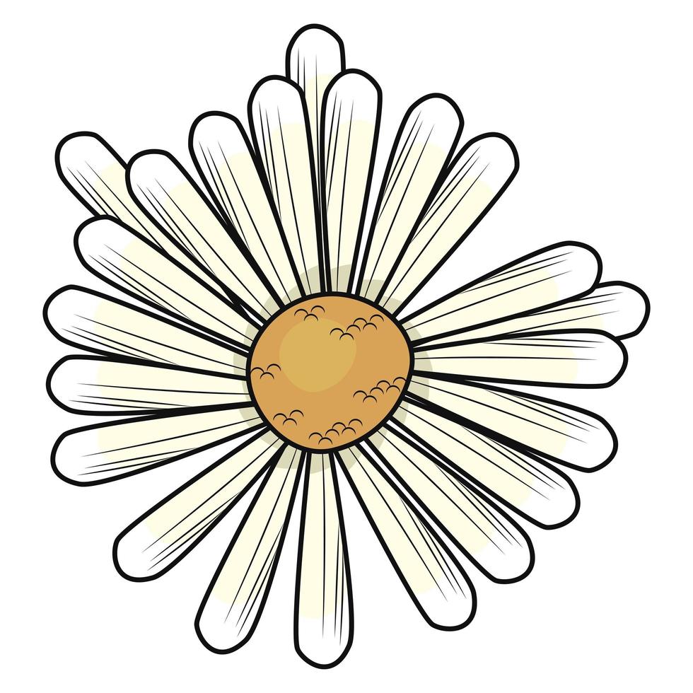 madeliefje bloem natuur vector