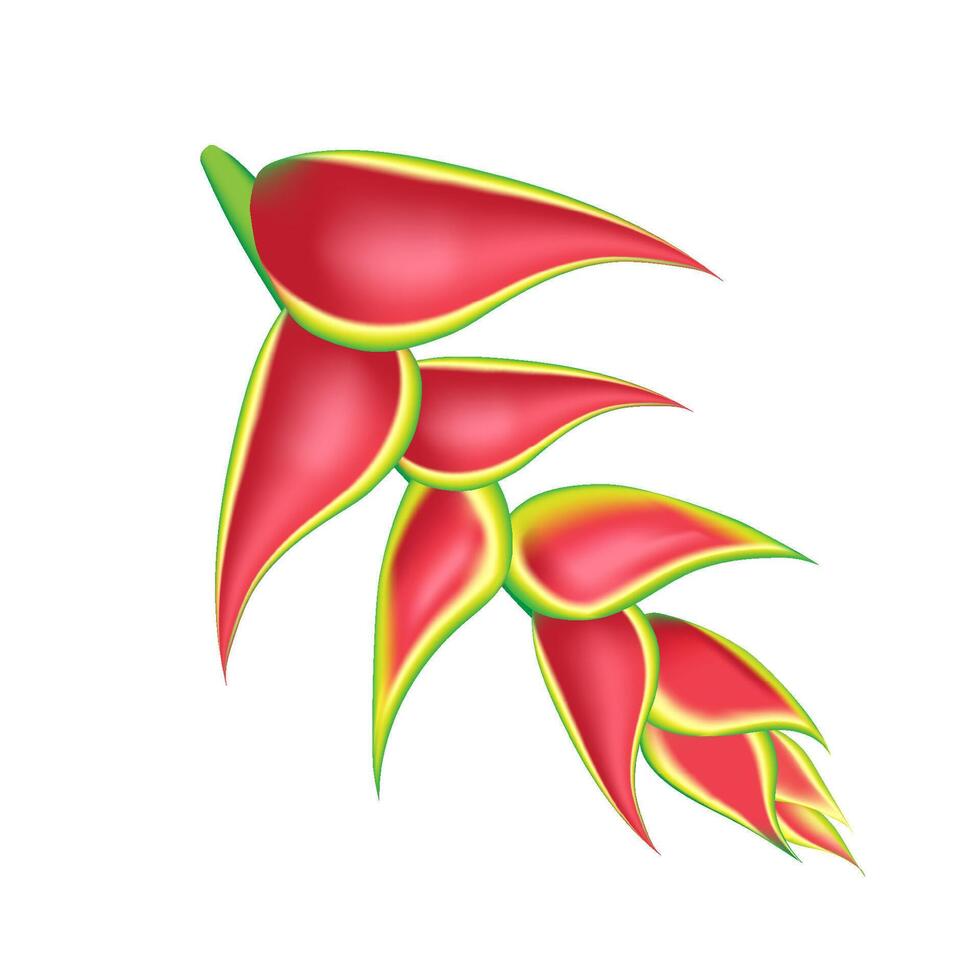 oerwoud bloem, bladeren keerkring set. geïsoleerd elementen. palm blad, monster, roze plumeria bloem, hibiscus bloesem, exotisch tropisch zomer bloemen en bladeren. vector