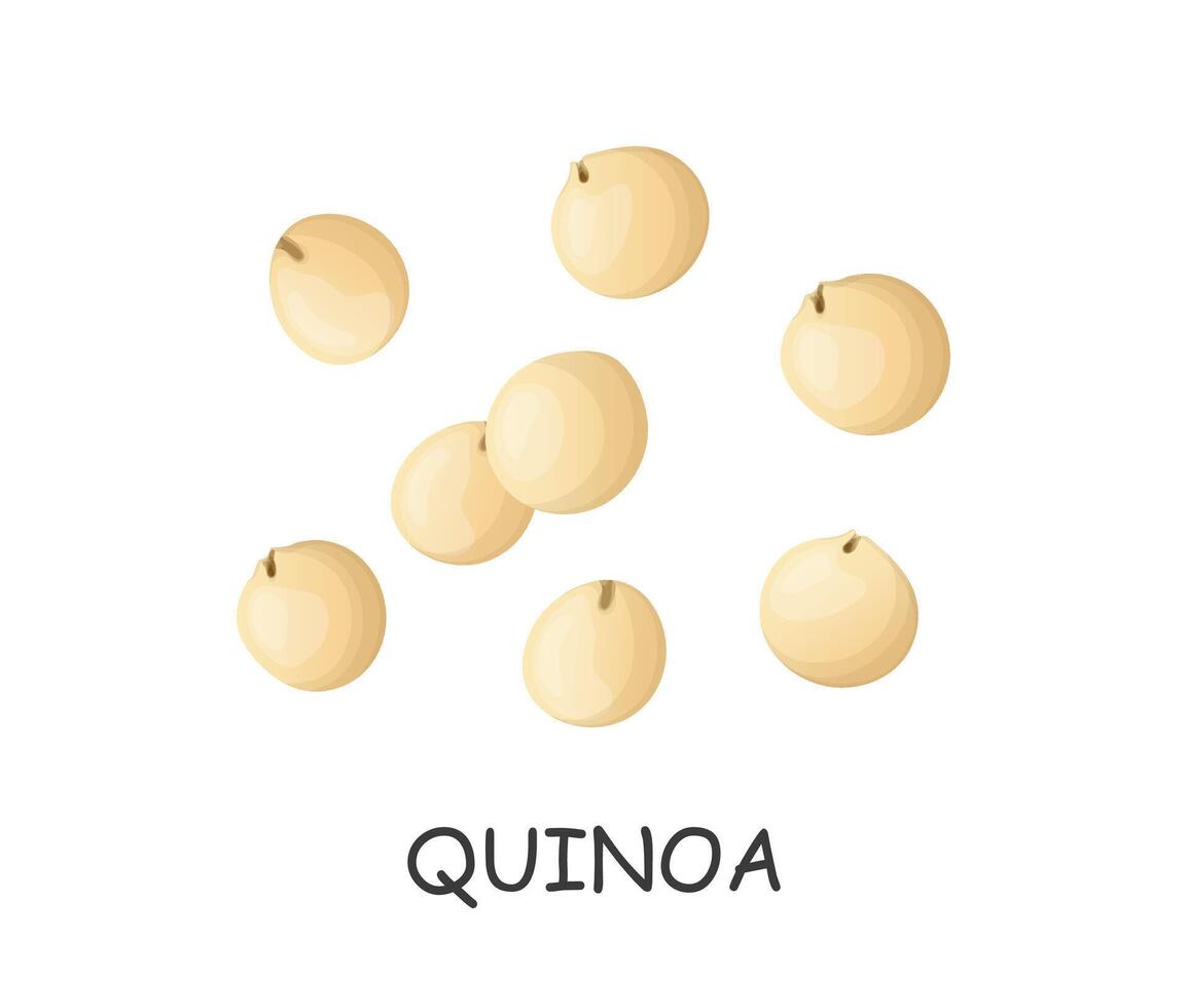 quinoa zaden hand- getrokken in tekenfilm stijl vector