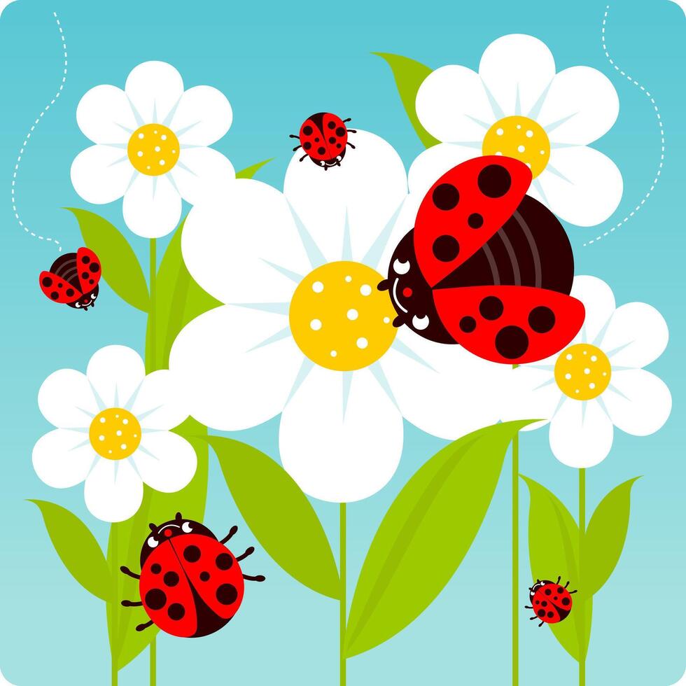 lieveheersbeestjes en madeliefjes. schattig tekenfilm lieveheersbeestjes tekens vliegend in de omgeving van wit bloemen in lente. vector