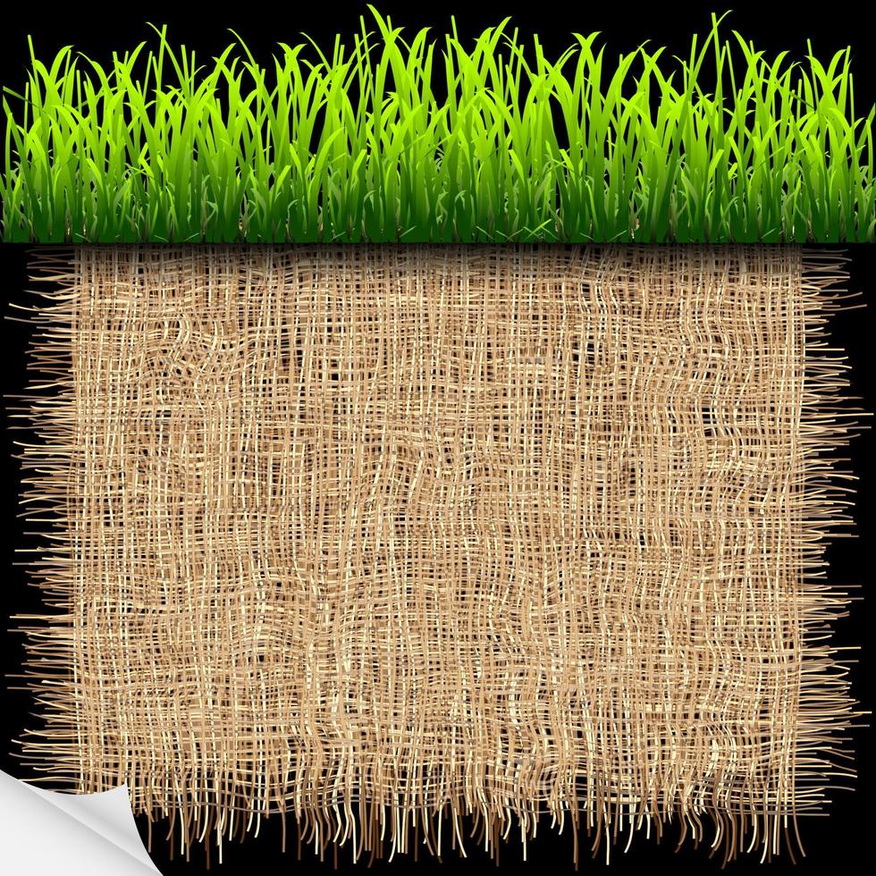 eco achtergrond met groen gras vector
