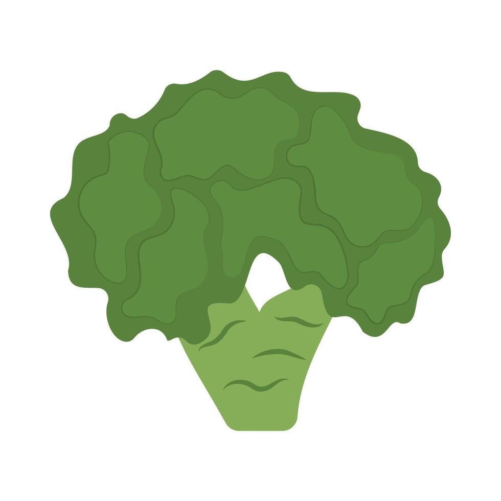 kruidenier voedsel gemakkelijk voorwerpen. groenten en fruit. oranje en broccoli. tekenfilm vlak icoon. vector