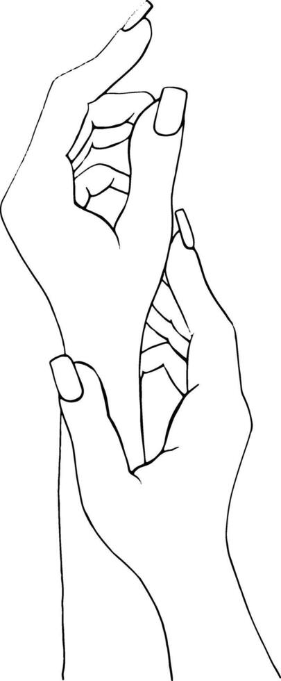 monochroom hand- getrokken vrouw handen. zwart en wit illustratie hand- in hand. vector