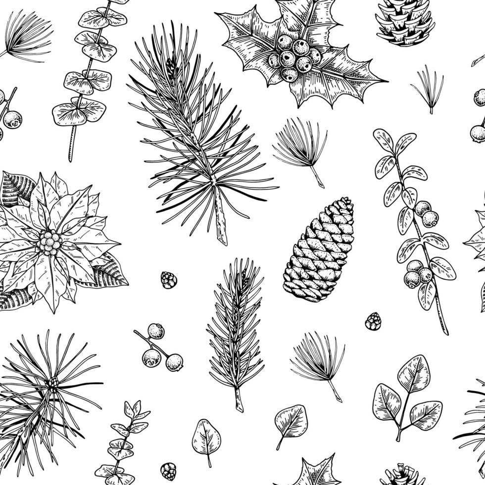Kerst naadloze patroon met hand getrokken fir tree en eucalyptus takken, kegels, poinsettia bloemen en hulst bessen geïsoleerd op een witte achtergrond. vectorillustratie in vintage schetsstijl vector