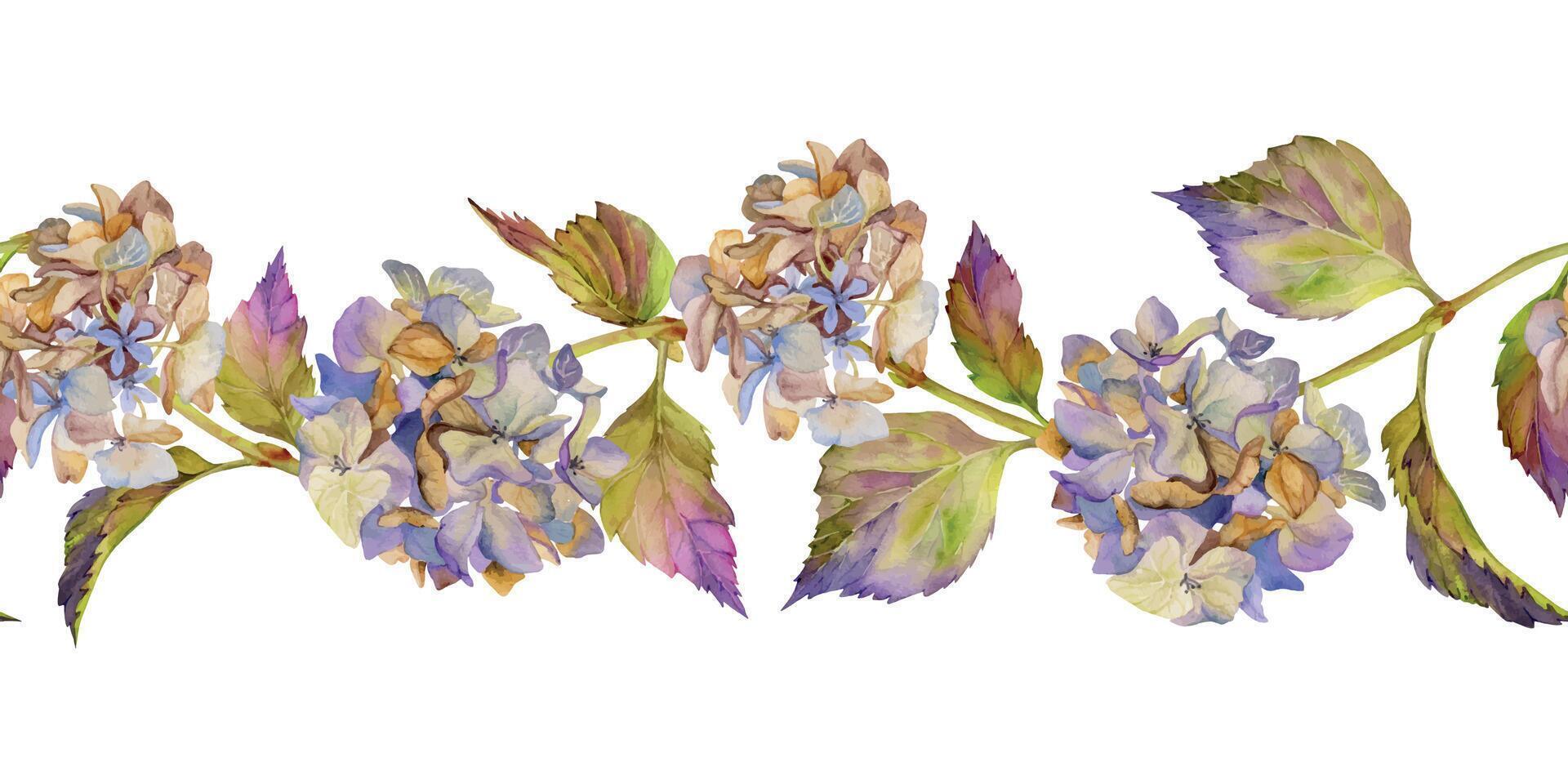 hand- getrokken waterverf illustratie haveloos boho botanisch bloemen bladeren. hortensia hortensia Purper verdord bloeiwijze stengels. naadloos banier geïsoleerd wit achtergrond. ontwerp bruiloft, liefde kaarten vector