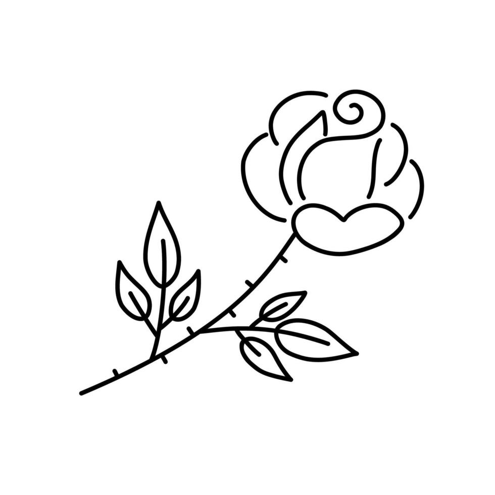 decoratief mooi hand- getrokken roos. zwart lijn illustratie geïsoleerd Aan wit achtergrond. vector