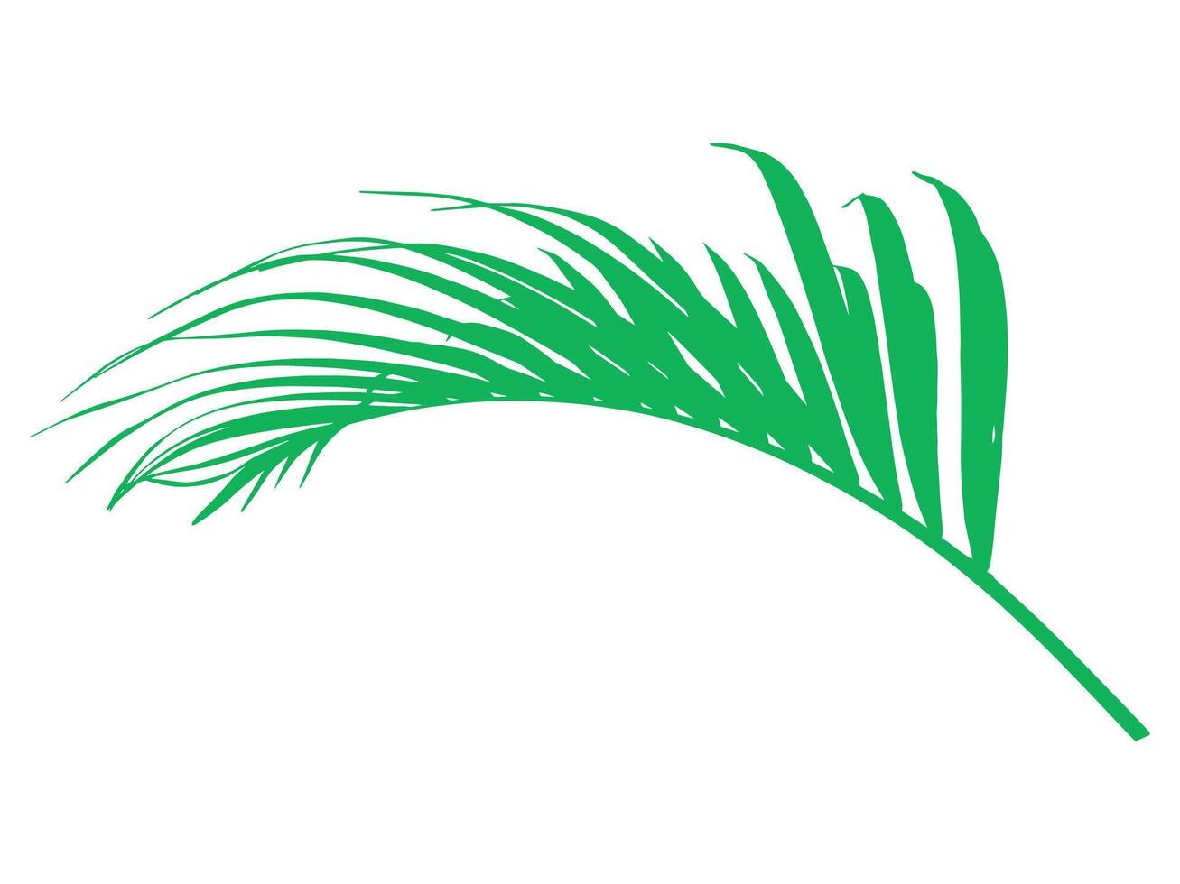 palm groen blad achtergrond illustratie vector