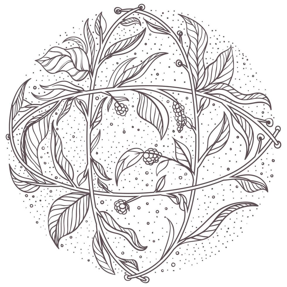 circulaire minimalistische hand- getrokken ornament met veld- kruiden en bloemen vector