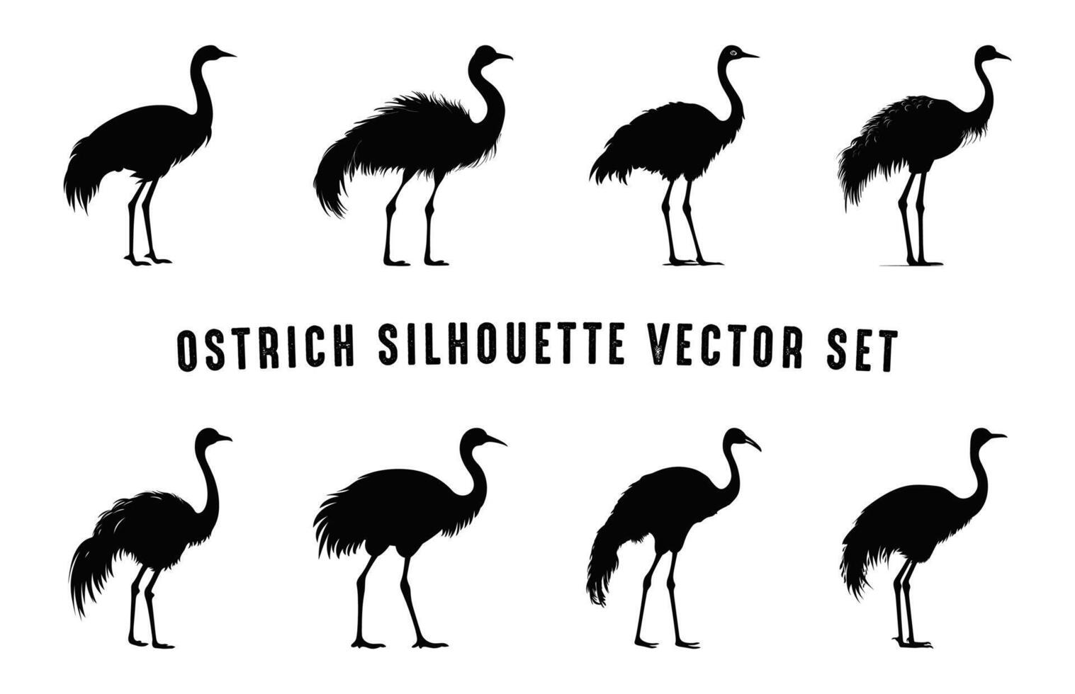 struisvogel silhouet zwart clip art set, struisvogel vogel silhouetten verzameling vector