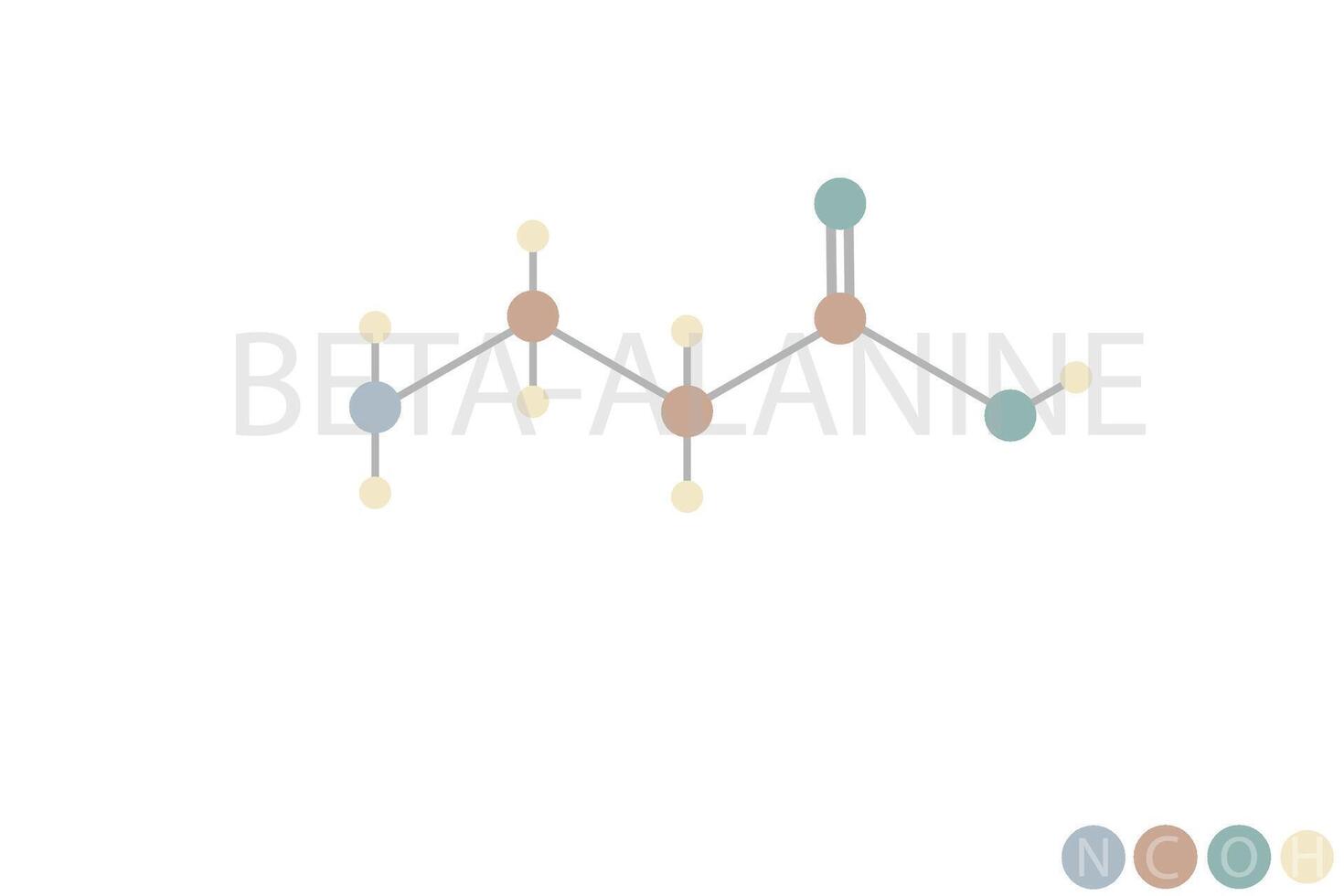 bèta alanine moleculair skelet- chemisch formule vector