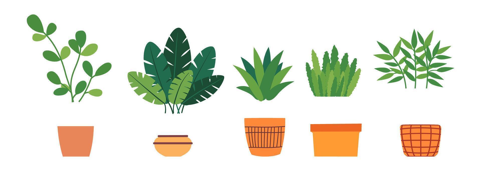 binnen- groen planten. groen voor interieur decoratie, fabriek liefhebbers. bloemen in een pot in vlak stijl. vector