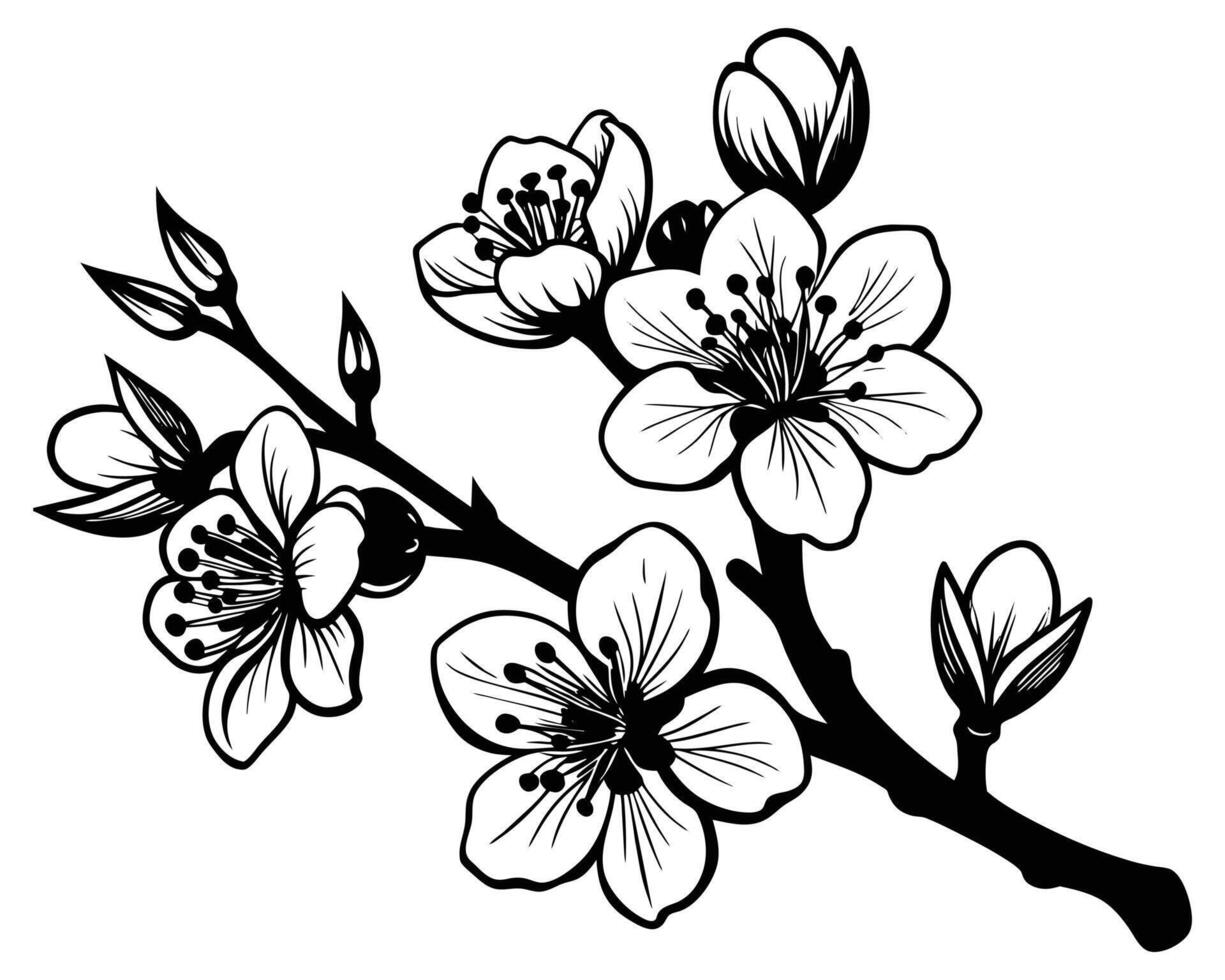 hand- getrokken bloemen Aan een wit achtergrond vector