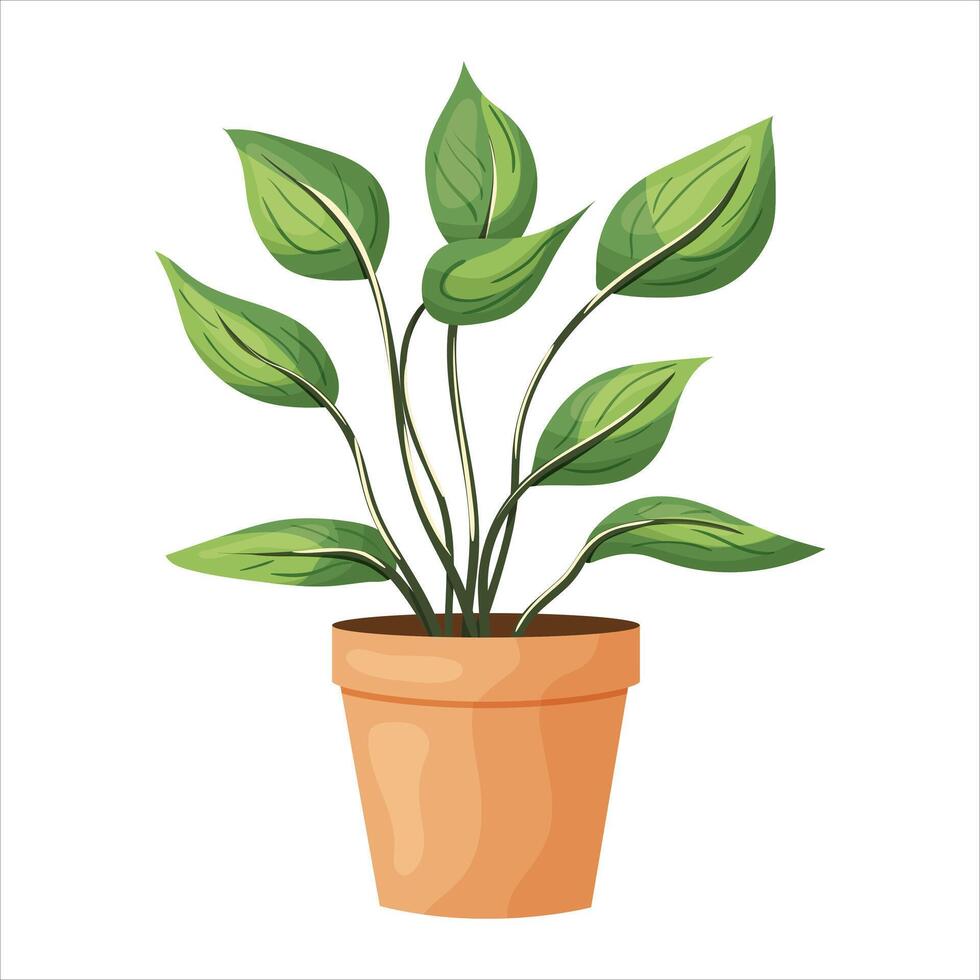 illustratie van een ingemaakt kamerplant met bladeren. vector