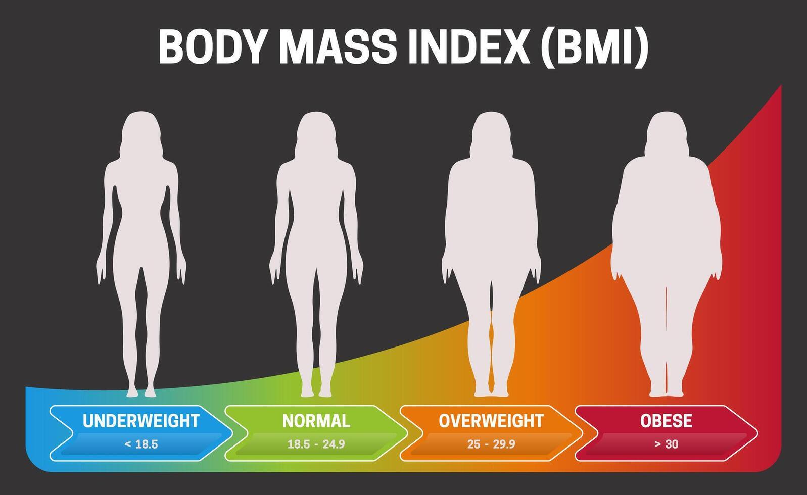 bmi lichaam massa inhoudsopgave zwart of donker infographic tabel illustratie met vrouw silhouetten van ondergewicht naar zwaarlijvig poster vector