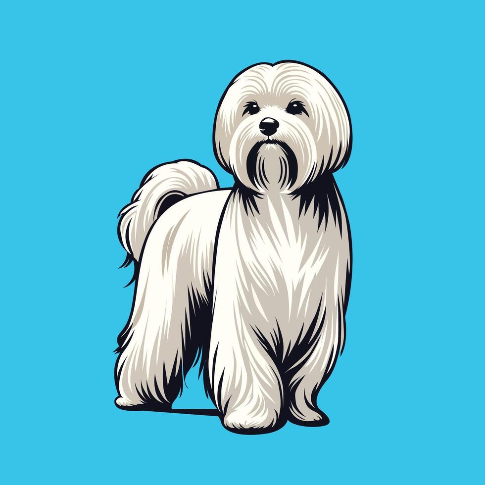 wit Maltees hond staand illustratie vector
