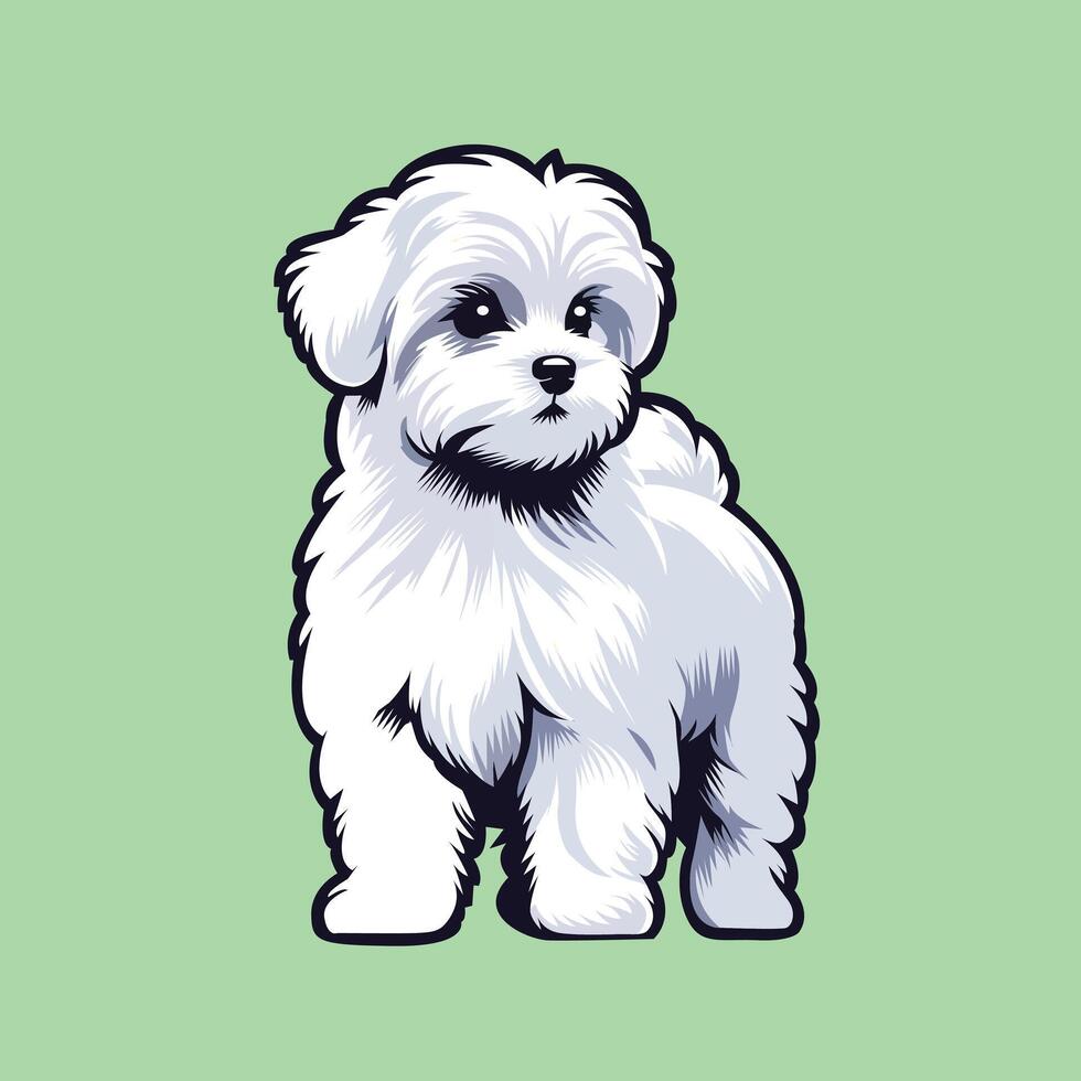 schattig Maltees hond staand illustratie vector