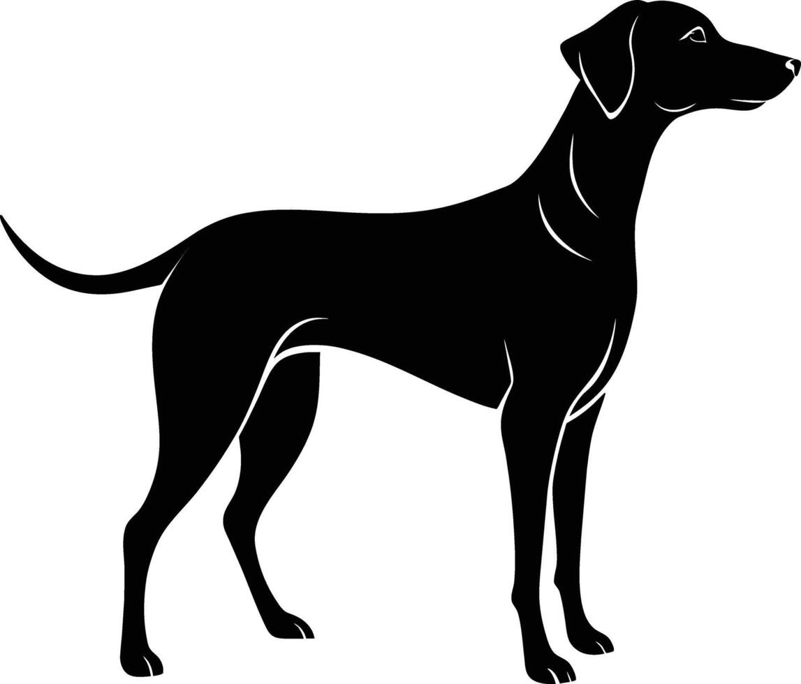 zwart en wit silhouet van een jacht- hond staand vector