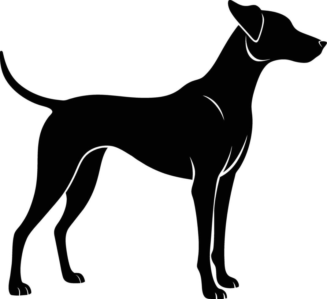 zwart en wit silhouet van een jacht- hond staand vector